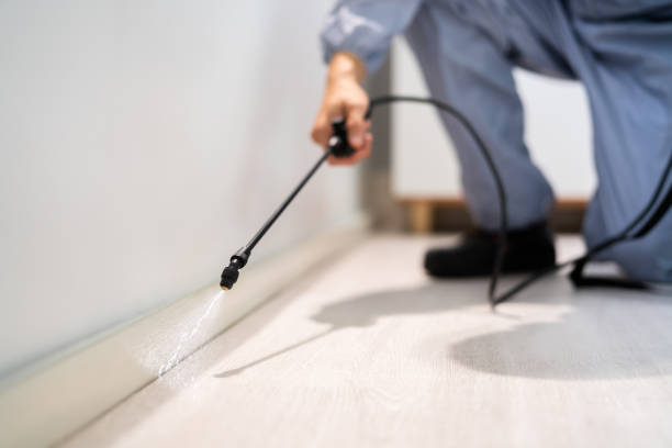 Certified termite inspector examining foundation in Harbor Hills