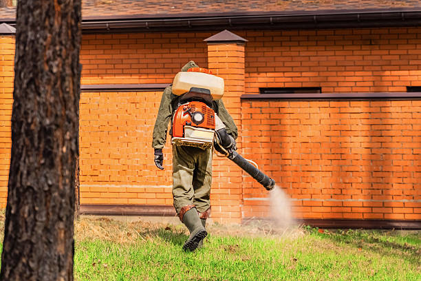 Bed Bug Clearance Verification and Documentation in Harbor Hills